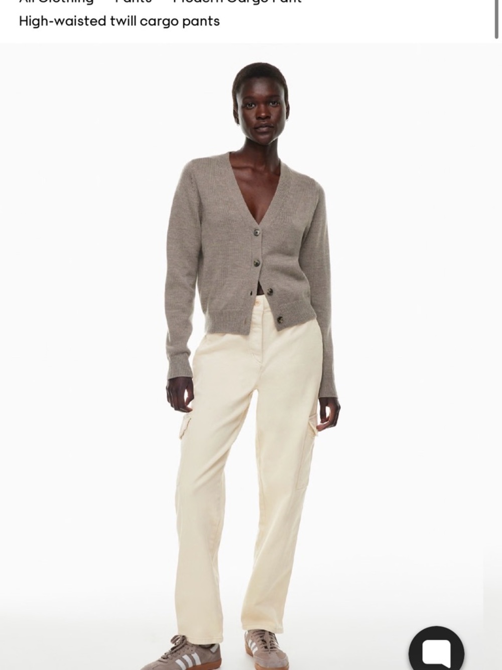 Aritzia Modern Cargo Pants